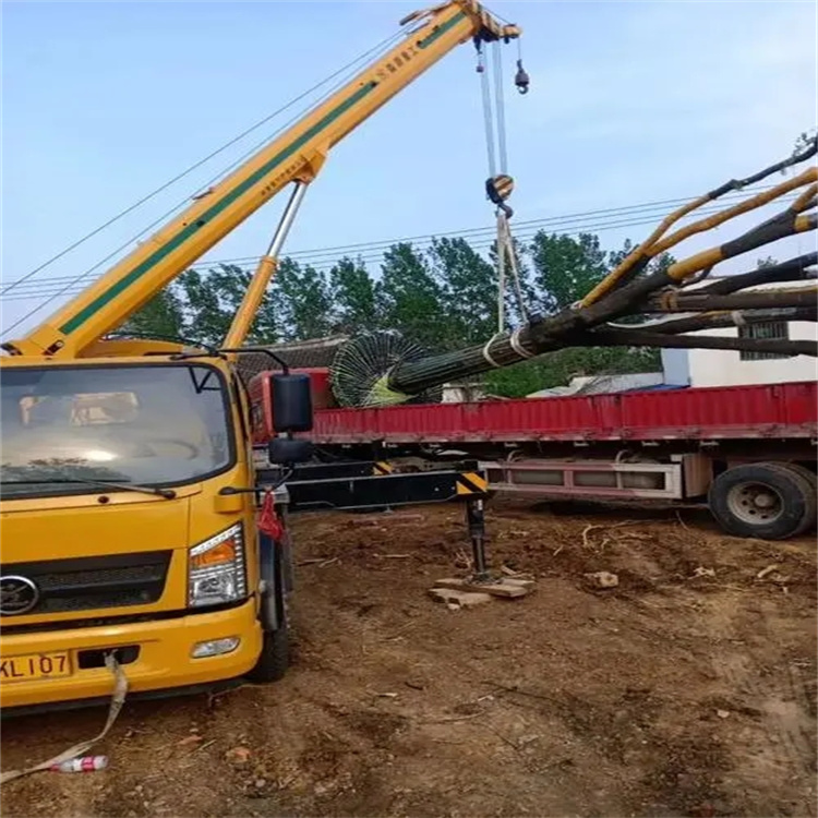 硚口100吨吊车租赁费用怎么算？3大关键因素+省钱技巧全解析